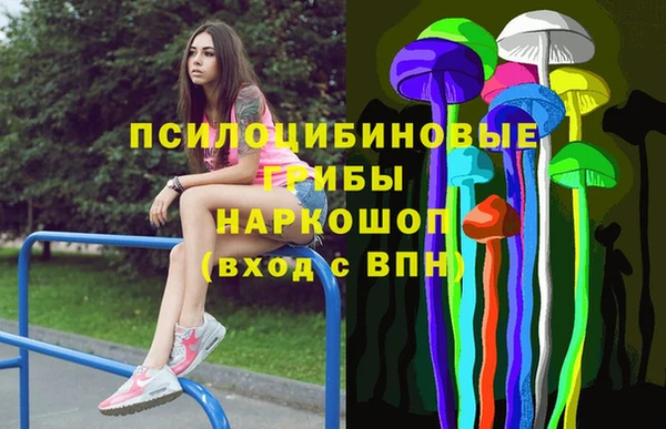 индика Абдулино