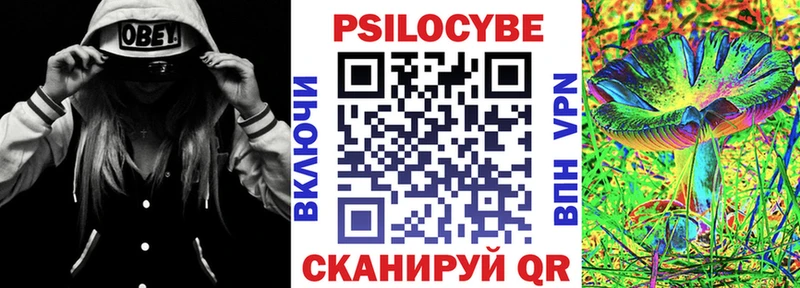 Псилоцибиновые грибы GOLDEN TEACHER  площадка какой сайт  Усть-Кут  МЕГА ССЫЛКА 